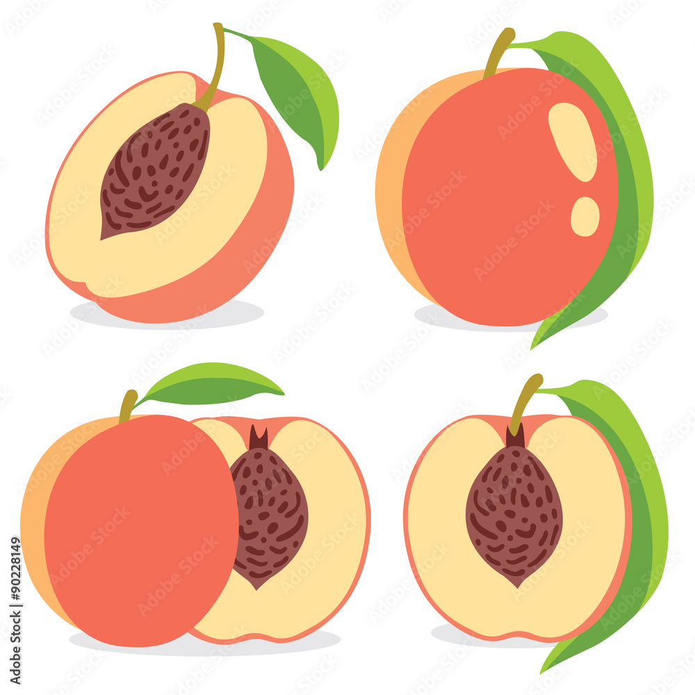 Vector peaches Vector peaches