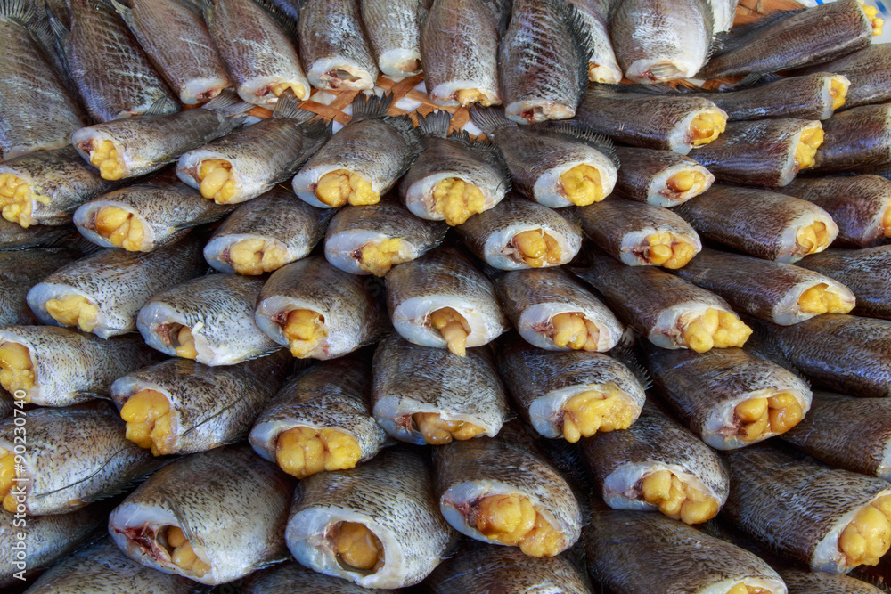 Snake Skin Gourami Fish,Pla Salit