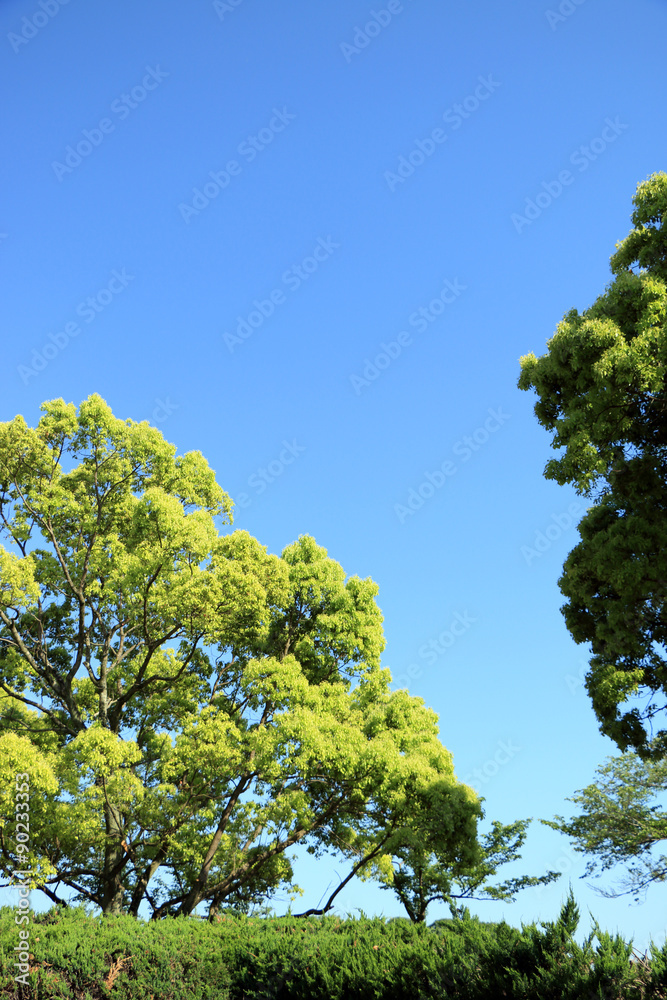 青空 青空