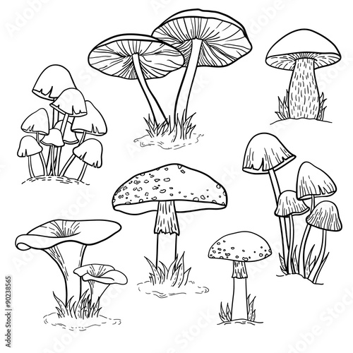Vector set of bright hand drawn mushrooms