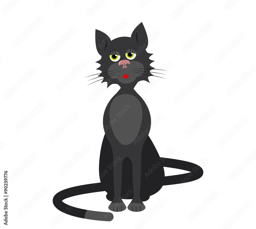 Fototapeta premium black cat