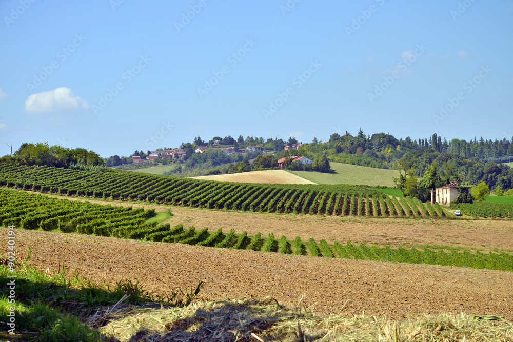 le campagne del Monferrato, Piemonte le campagne del Monferrato, Piemonte