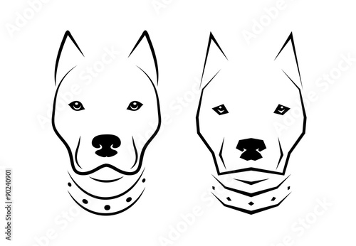 muzzle of a fighting dog