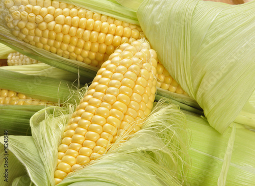 Fresh corn with leaves