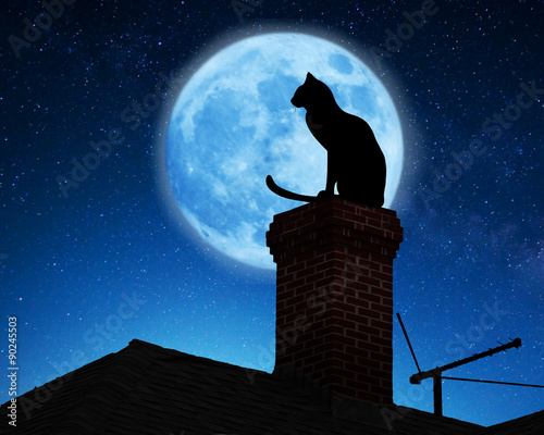 Fototapeta Naklejka Na Ścianę i Meble -  Cat on a roof.