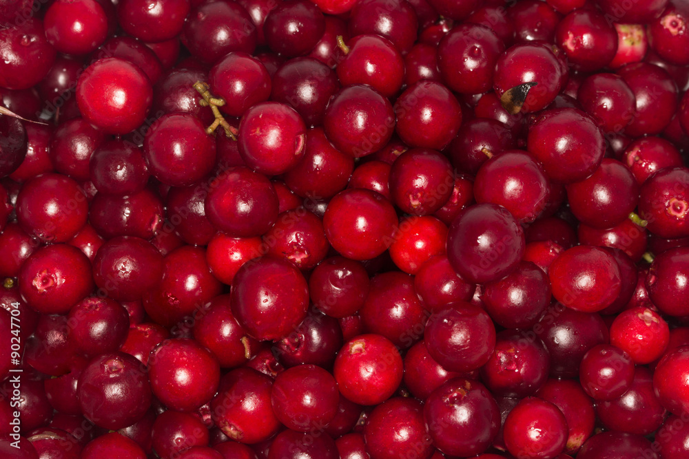 foxberries background foxberries background