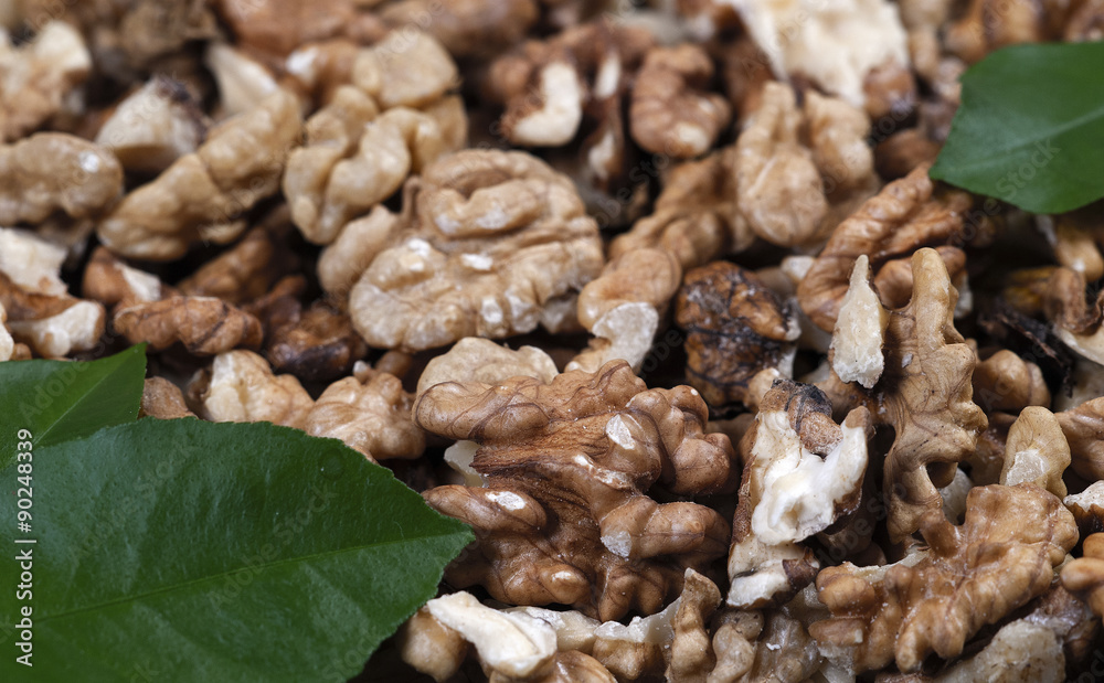 Walnut Walnut
