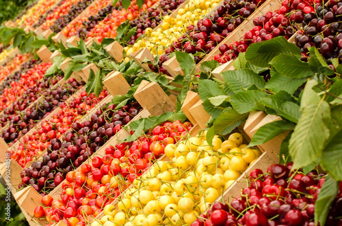 Close up on ripe red and yellow cherries in crates at the market. Display of many types of cherries.