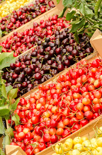 Close up on ripe red and yellow cherries in crates at the market. Display of many types of cherries.