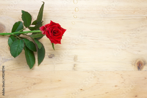 A rose on wood background,
