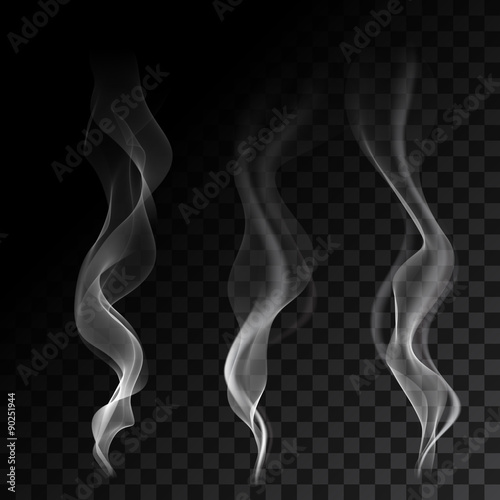 Light cigarette smoke waves on transparent background vector