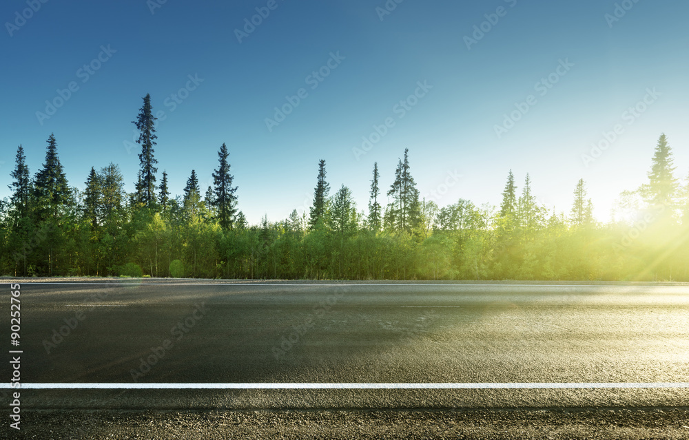 Naklejka premium asphalt road in forest