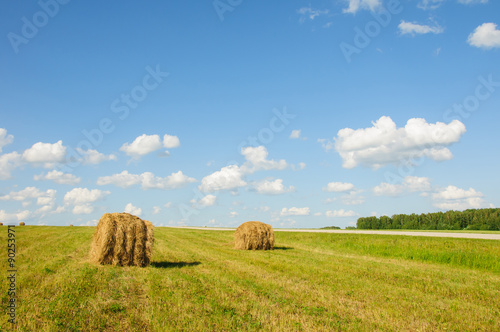 A stack of hay in the field