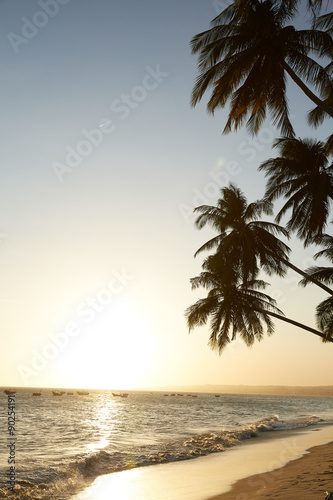 Fototapeta Naklejka Na Ścianę i Meble -  Palm against the sunset over the sea