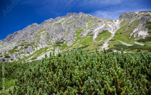 Hill - Predne Solisko - in High Tatras, Slovakia