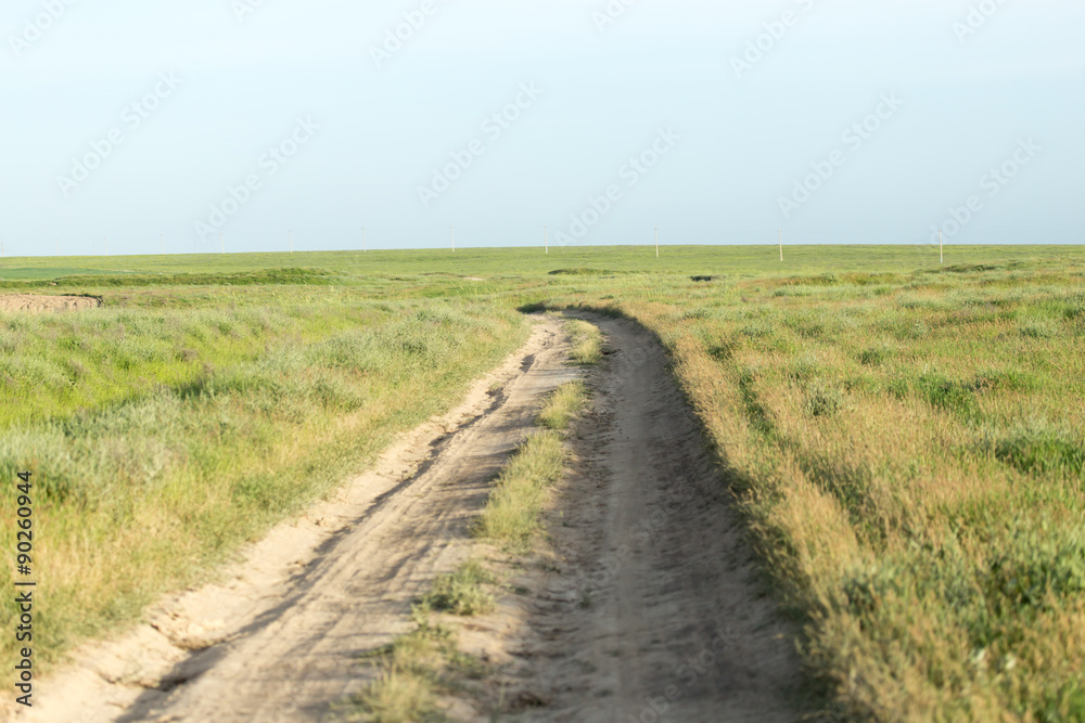 road in a field