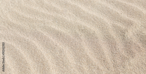 background of sand on the shore