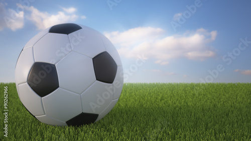 3 D render of soccer ball on a field. © Radivoje