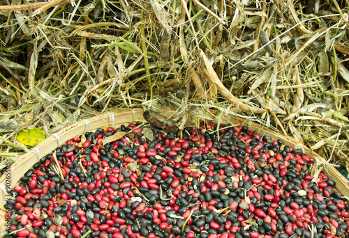 Bamboo Sieve Full of Beans photo