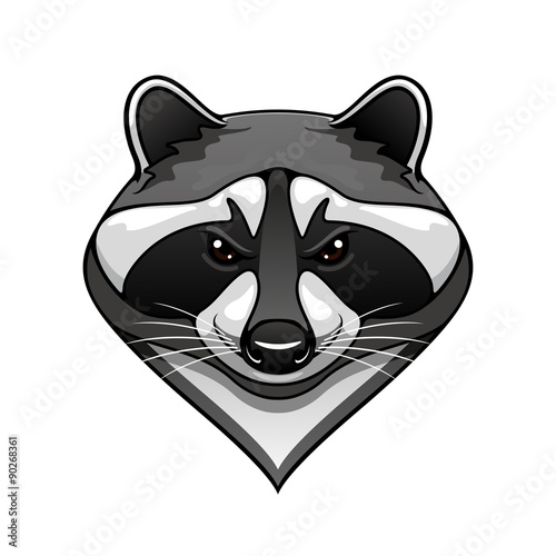 Cartoon wild raccoon animal mascot