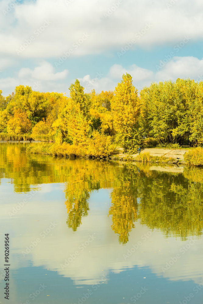 River and forest in sunny autumn day River and forest in sunny autumn day