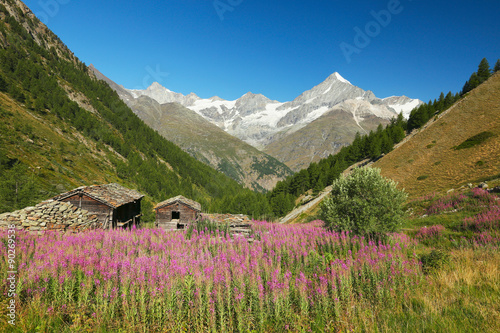 View of the alpine farm and Weisshorn, Switzerland