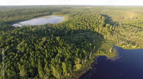 Aerial view of two lakes, surrounded by pine forests and connected by a winding creek in the morning light.