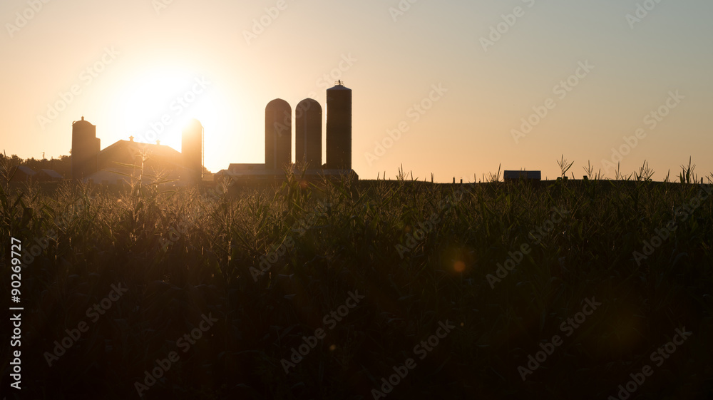 The rising sun bursts forth over the barn and silos of a farm while hitting the tassels of corn (maize) plants in a field.