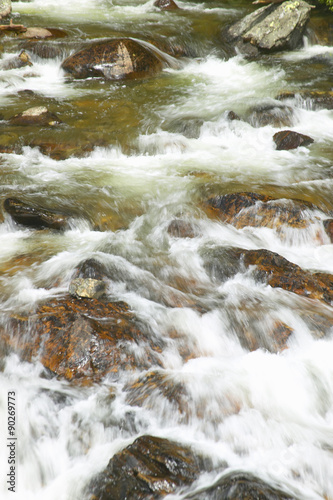 Running water beneath Pines as creek runs through Payette national Forest near McCall Idaho