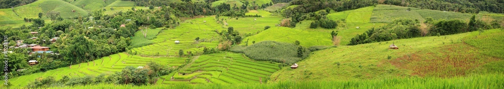 Obraz premium Rice terraces panorama
