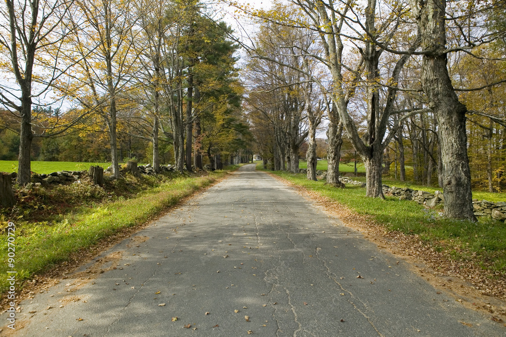 Backroads in autumn on Mohawk Trail in western Massachusetts, New England