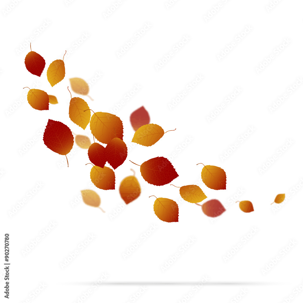 Autumn leaves on white background Autumn leaves on white background