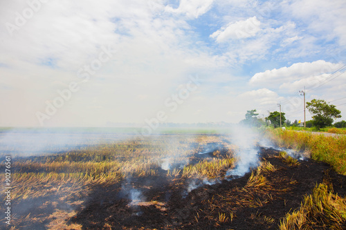 Burn weeds