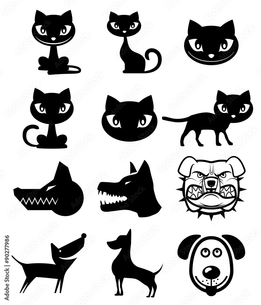 Cat and dog Cat and dog