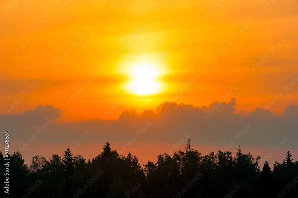 beautiful sunset over the forest and cumulus clouds