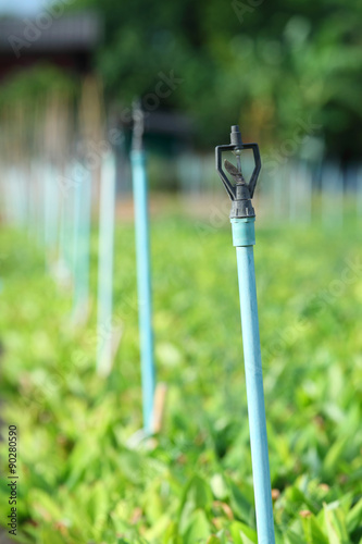 springler system in farm © rukawajung
