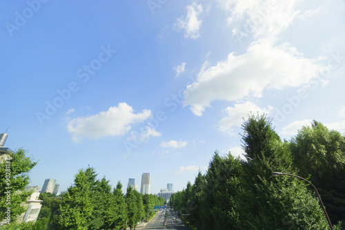 大都会東京の緑 神宮外苑 外苑東通り 六本木方面を望む 大空コピースペース