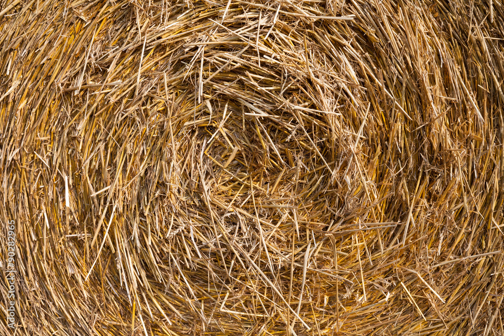 Strohballen, Stroh Strohballen, Stroh