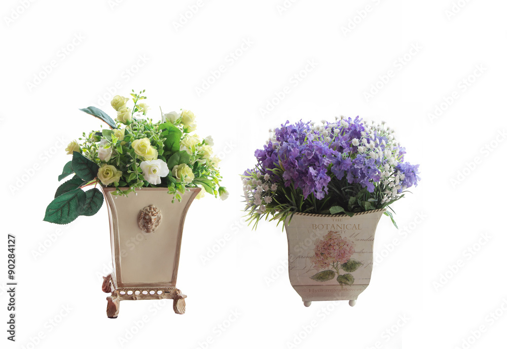  flowers in flower pots on white background