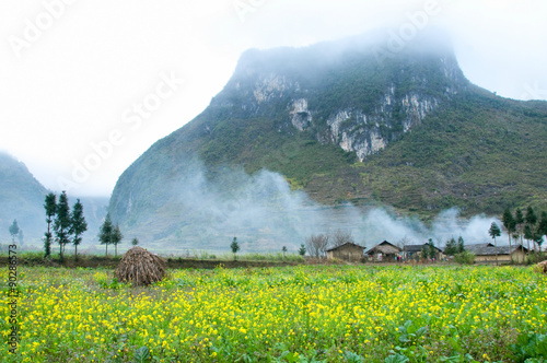 Landscape with old houses, flower field and  mountain in Ha Giang, Vietnam. Ha Giang is a province in northeastern Vietnam. 