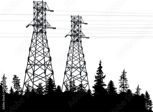 two electric towers in forest