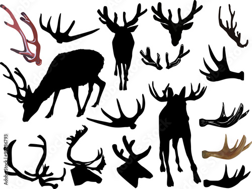 antler and deer silhouettes isolated on white