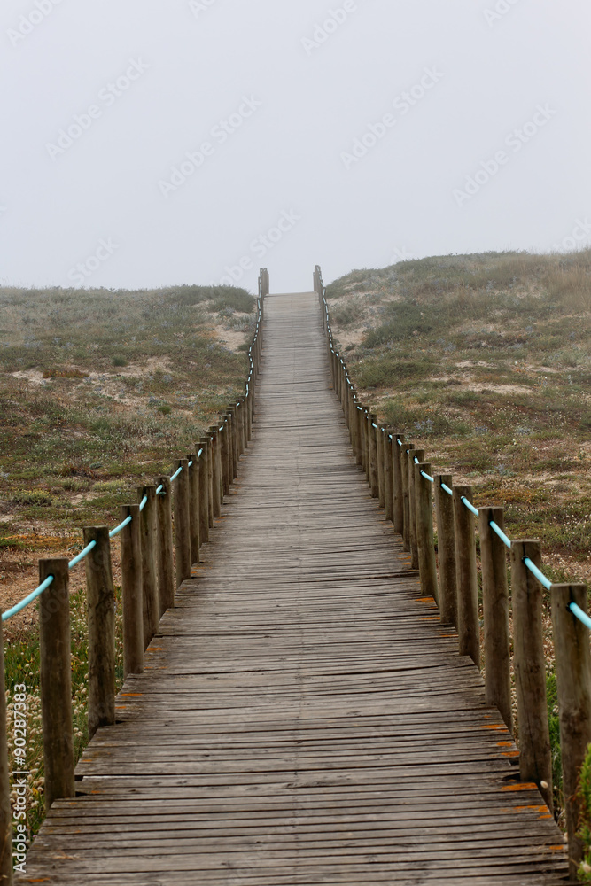 Fototapeta premium Sea dune walkway