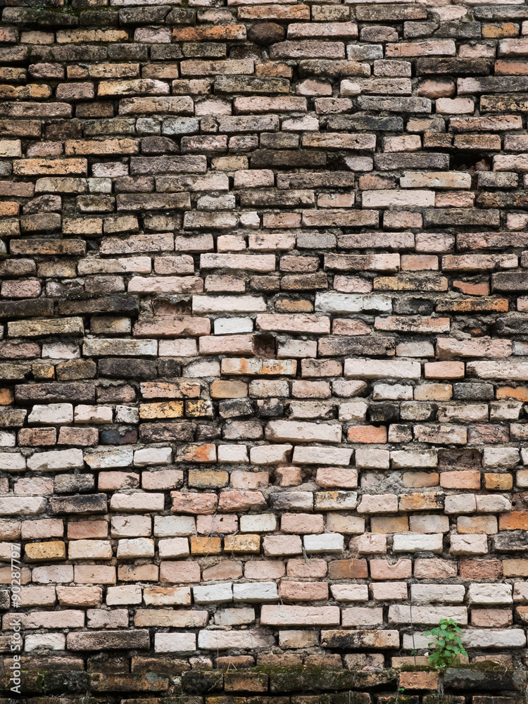 Bricks wall texture background with lichen vertical