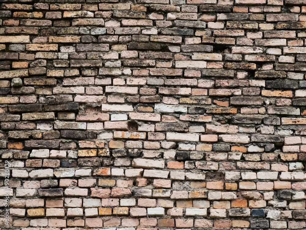 Obraz premium Bricks wall texture background