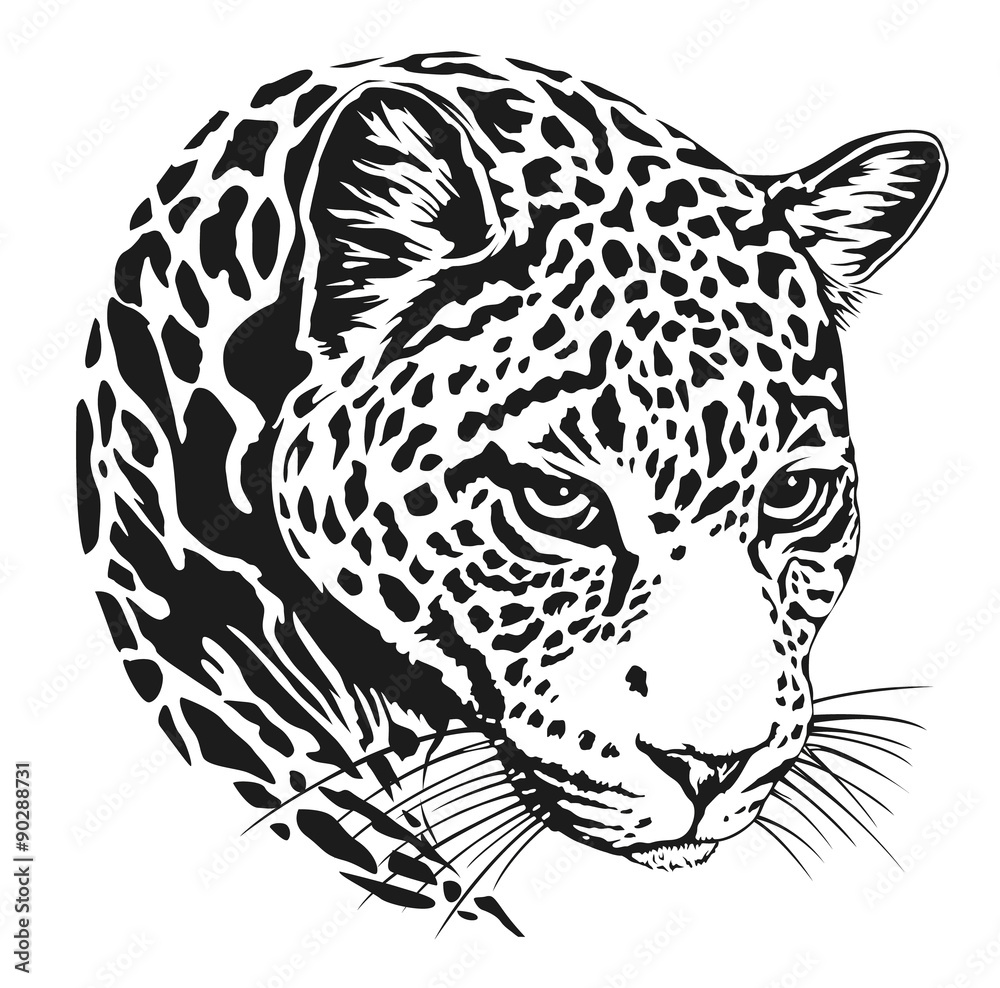 Fototapeta premium jaguar head lineart