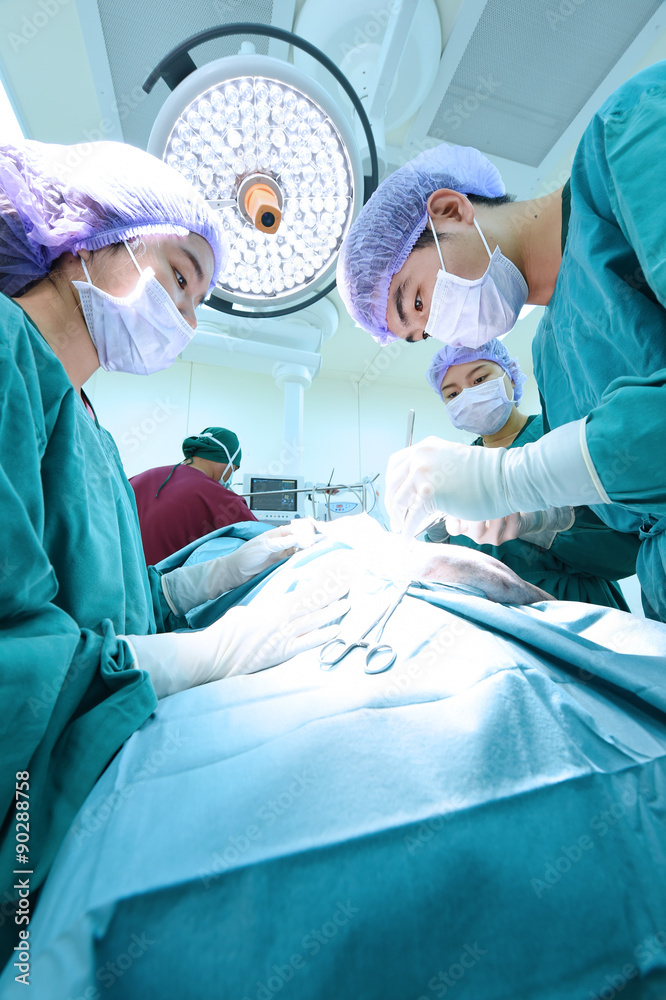 group of veterinarian surgery in operation room group of veterinarian surgery in operation room