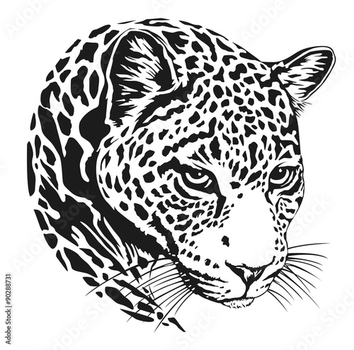 Papier peint Tête de jaguar lineart