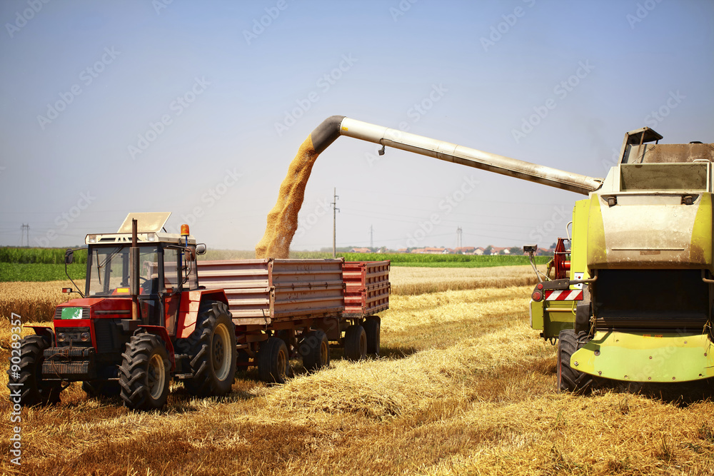Combine harvester and tractor working in the field Combine harvester and tractor working in the field