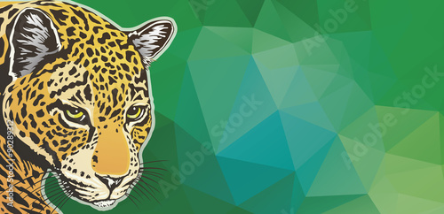 jaguar poster
